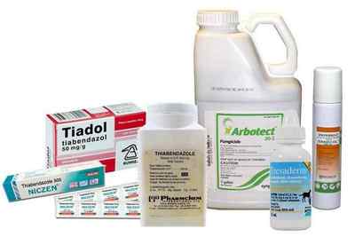 Тіабендазол: інструкція із застосування, ціна і аналоги мазі при аскаридозі