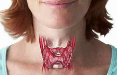 Таблиця норм гормонів щитовидної залози у жінок