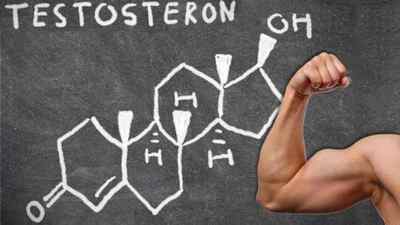 Тестостерон у чоловіків: що це таке і де виробляється?