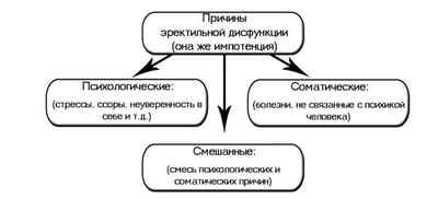 Дар Гімалаїв: інструкція із застосування, ціна та відгуки