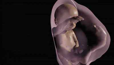Вчені змогли показати батькам 3D-модель майбутньої дитини