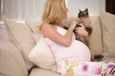 Токсоплазмоз: Комаровський розповідає про хвороби і збудника, при вагітності у дорослого і дитини