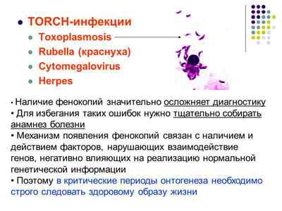 ТОРЧ-інфекції: аналізи і їх розшифровка