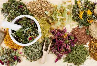 Трави для підшлункової залози: лікування захворювань травяними зборами