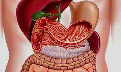 Травлення в шлунку: фізіологічні процеси, як поліпшити
