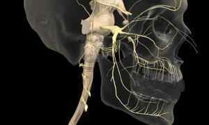 Трійчастий нерв: симптоми і лікування