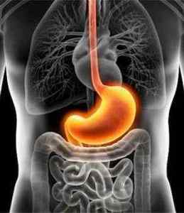 Тяжкість в шлунку: причини і лікування, симптоми, які хвороби провокують
