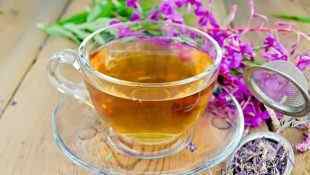 Іван-чай при простатиті: користь і застосування