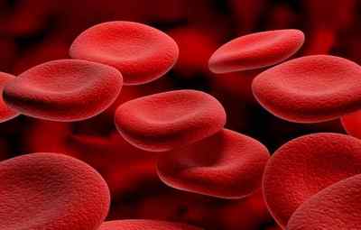 Вікові норми лейкоцитів в крові у жінок