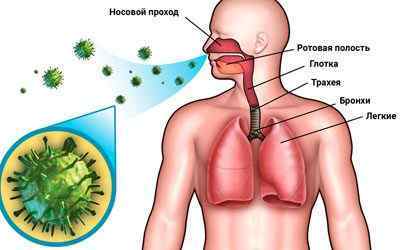 ВІЛ і туберкульоз легень: особенноті течії, прогноз