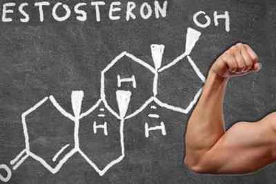 Вільний тестостерон: що це таке, функції і норма у чоловіків