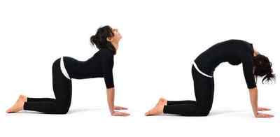 Вправи для зміцнення мязів спини в домашніх умовах: як зміцнювати з гантелями, зарядка і гімнастика, ЛФК для дітей | Ревматолог