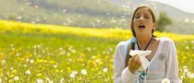 Як ефективно лікувати ендометріоз травами і не нашкодити