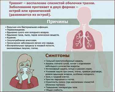 Як лікувати грудної кашель у дорослих людей