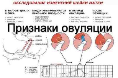 Як проходять місячні при ендометріозі, чи може бути затримка?