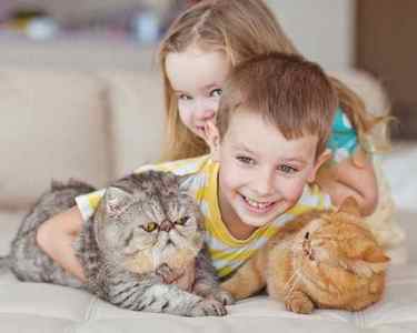 Як проявляється алергія на кішок у дітей