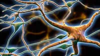 Як відновити нервові клітини, ефективні препарати