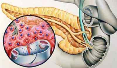 Який орган виробляє інсулін в організмі людини
