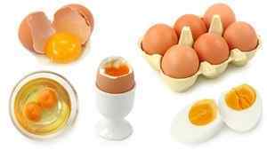 Яйця при виразці: корисні властивості, як, в якому вигляді і кількості вживати