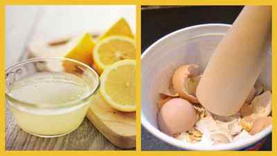 Яєчна шкаралупа: як правильно приймати для зміцнення кісток при нестачі кальцію з лимонним соком і рецепт ліки | Ревматолог