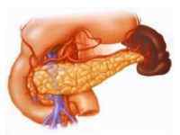 Загин підшлункової залози: причини перегинів, лікування деформації
