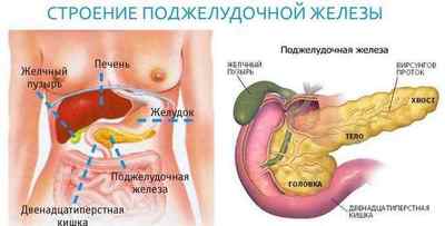 Загострення підшлункової залози: чим лікувати в період загострення, ознаки, лікування таблетками