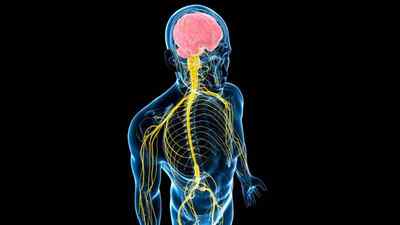 Захворювання спинного мозку: лікування менінгіту спинного мозку, симптоми ураження головного мозку, травматична хвороба | Ревматолог