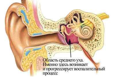 Закладає вуха і паморочиться голова: причини, лікування