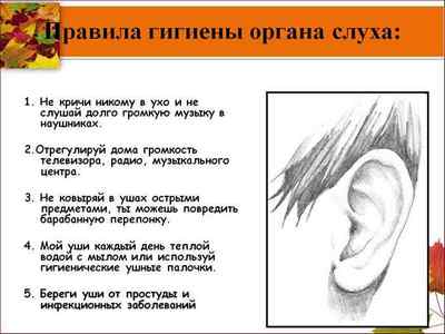 Запалення мочки вуха: причини і лікування