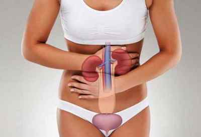 Запалення нирок у жінок: симптоми і лікування нефриту