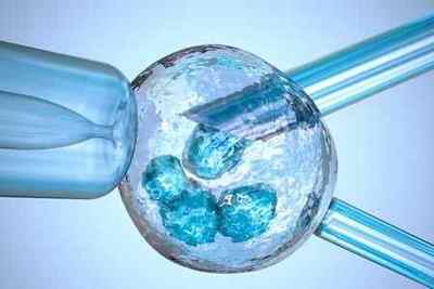 Запліднення яйцеклітини сперматозоїдом: як і за скільки відбувається злиття