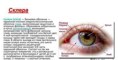 Желтушность склер: причини жовтих очей, як очистити від жовтизни у новонароджених