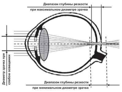 Зіниця ока: що це таке, яку функцію виконує, будова, де розташований